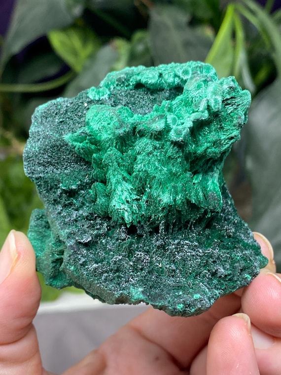 Vibrant Congo Malachite