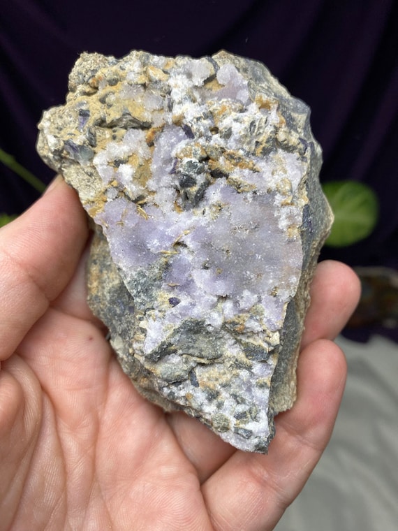 RARE Henderson Creek Colorado Creedite