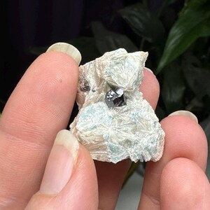 Puede incluir: Un pequeño racimo de cristales blanco y gris con una piedra negra brillante similar a una gema en el centro.