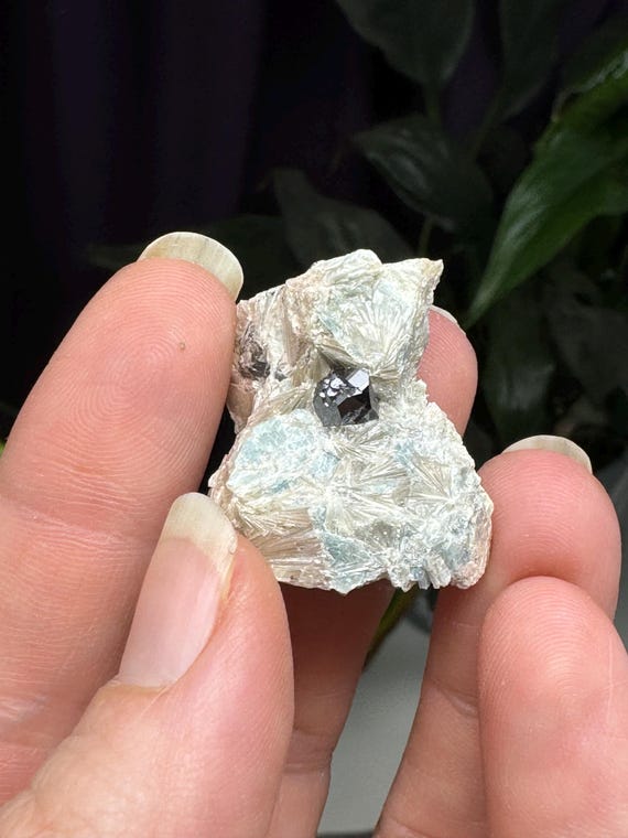 Graves Mountain Blue Kyanite and Pyrophyllite with Rutile~Ex Terry Ledford Collection