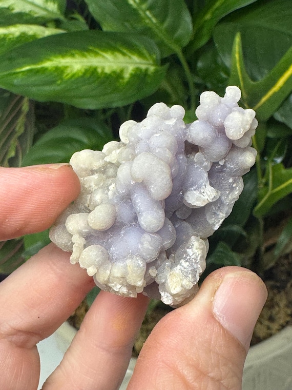 Purple Grape Agate~Indonesia ~Ledford’s Minerals