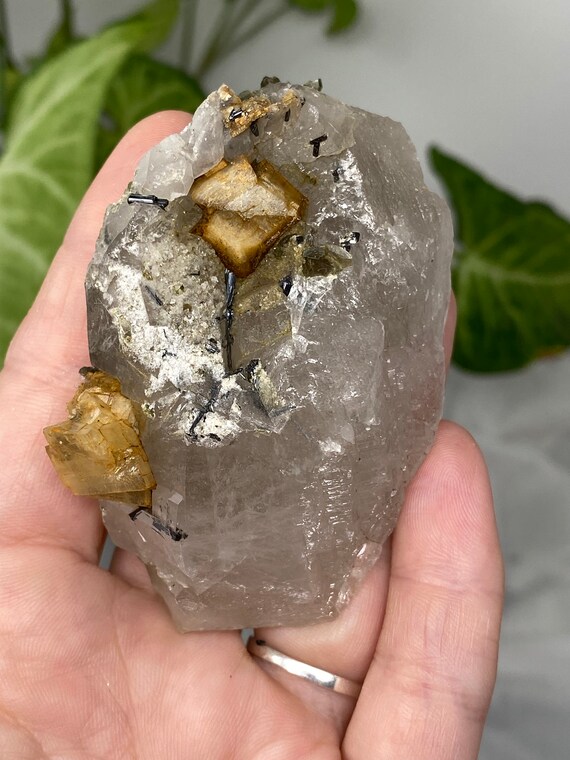 Self Healed Smoky Quartz with Siderite