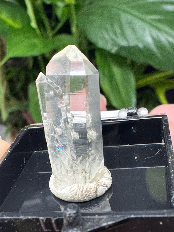 Quartz Crystal Thumbnail ~Purple Hope Claim~Washington~Collected by Joseph George~Ledford’s Minerals