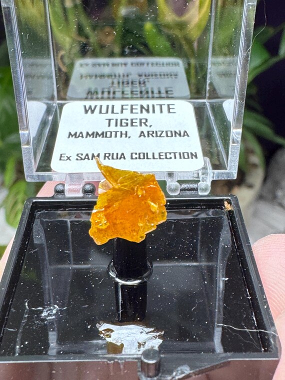 Vibrant Orange~Mammoth Arizona~Wulfenite Cluster Thumbnail~Nature Made Goods~Ledfords minerals
