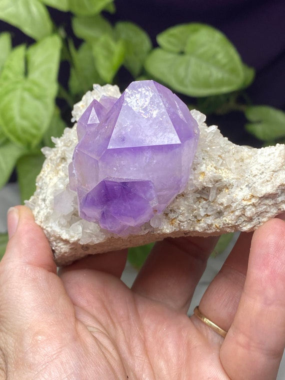 Amethyst Cluster with Druzzy