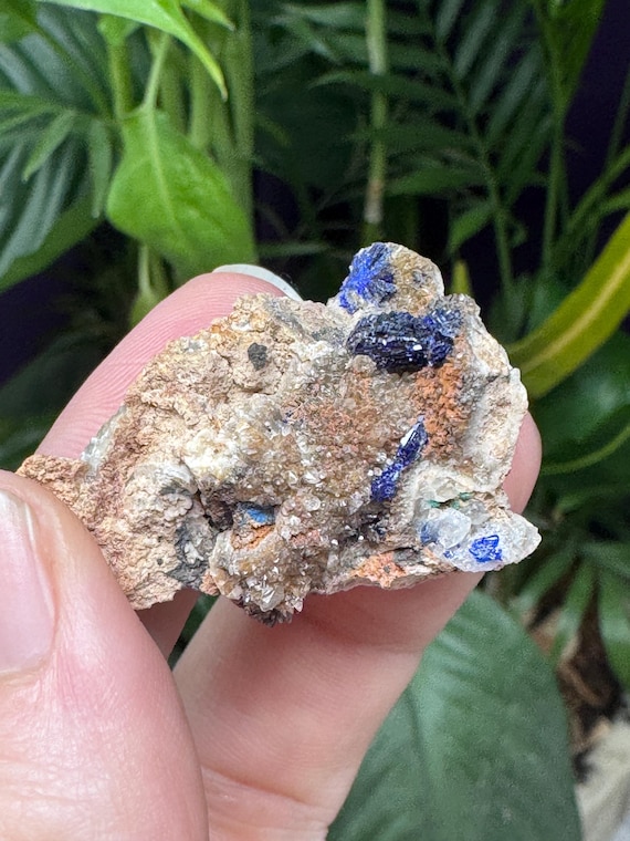 Azurite~Socalo Mine~Zacatas, Mexico~Nature Made Goods~Ledford’s Minerals
