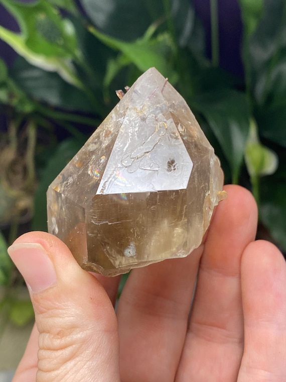 Beautiful Rutilated North Carolina Emerald Mine Quartz with Red Rutile