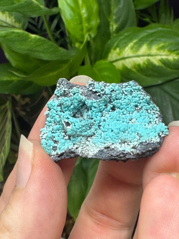 Chrysocolla~The Planet Mine~Arizona~Nature Made Goods~Ledford’s Minerals
