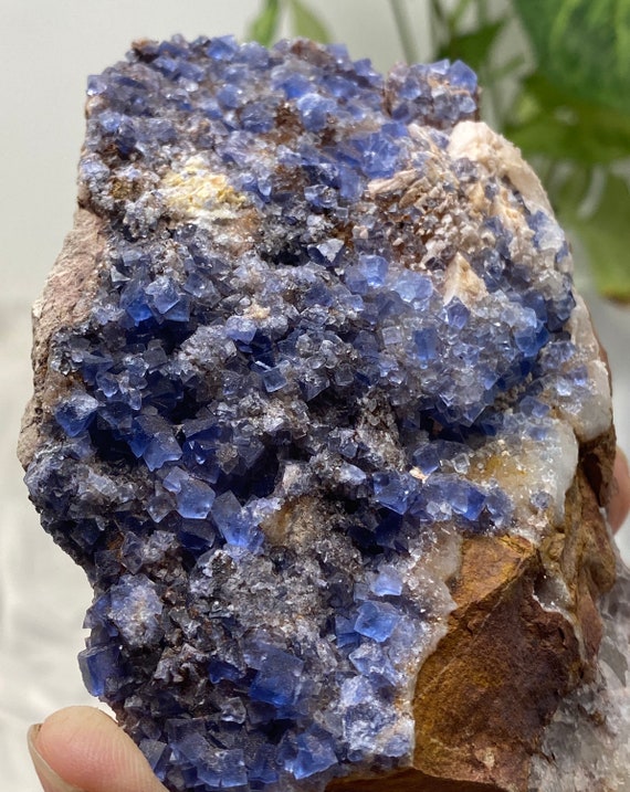 Blanchard Mine Blue Fluorite and Barite