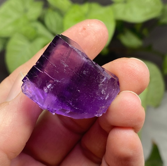Illinois Fluorite with UV Reactive Petroleum Inclusions