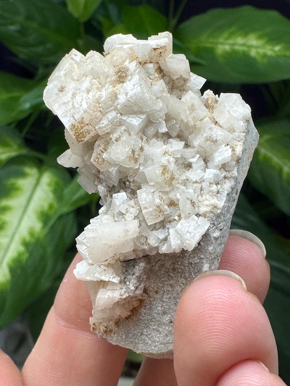 Pink Dolomite Cluster, Woodlawn Quarry Mineral Specimen