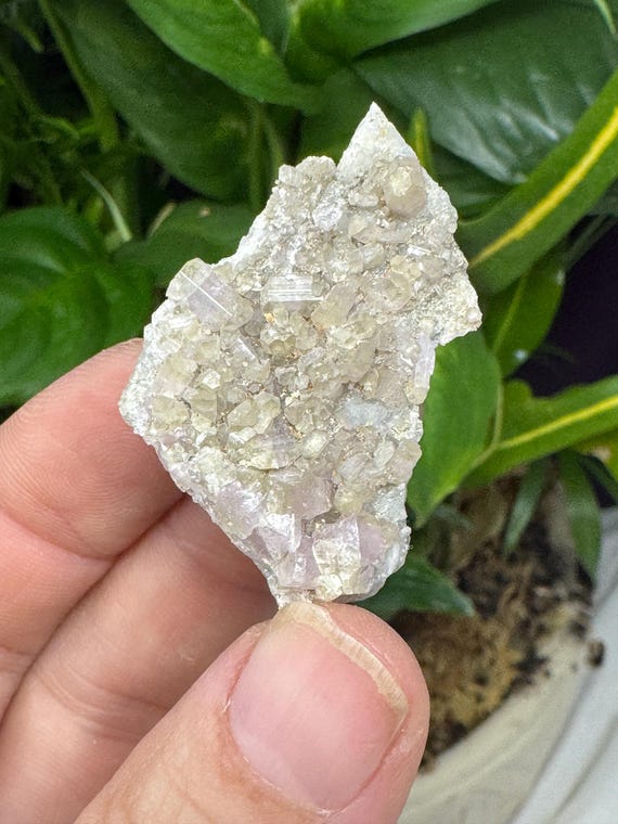 Smithsonite Cluster~Tsumeb, SW Africa~Ledford’s Minerals