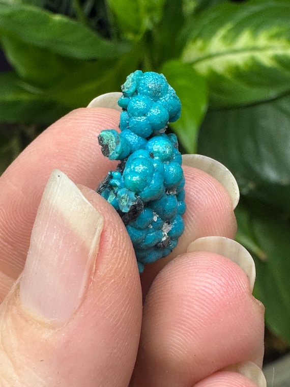 Chrysocolla~The Planet Mine~Arizona~Nature Made Goods~Ledford’s Minerals