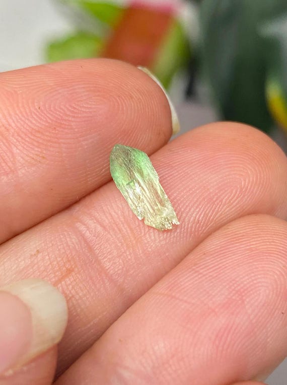 Rare Chromium BiColor North Carolina Hiddenite Crystal