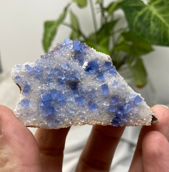Blanchard Mine Blue Fluorite