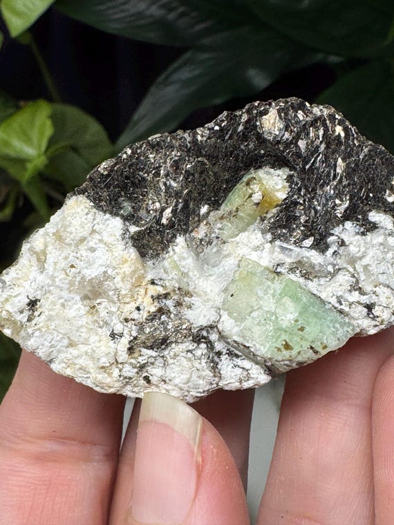 Green Beryl in Quartz and Biotite~North Carolina Crabtree Emerald Mine~Ex Terry Ledford Collection~Ledford’s Minerals