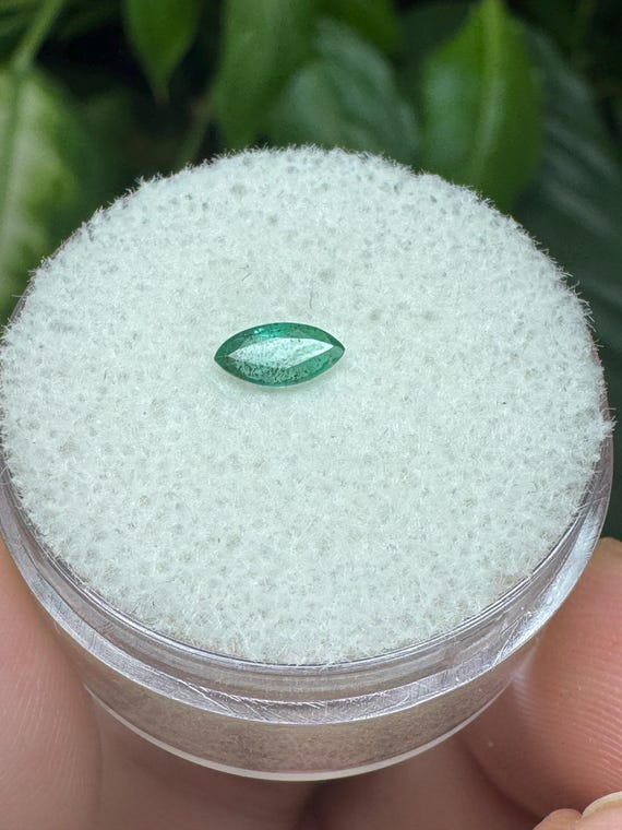 Emerald Gemstone ~North Carolina Crabtree Emerald Mine~Ex Terry Ledford Collection~Crystalline Dream Minerals-Ledford’s Minerals