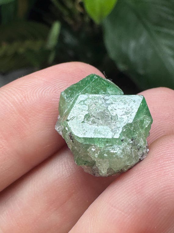 Tsavorite~Merelani Hills~Tanzania~Nature Made Goods~Ledford’s Minerals
