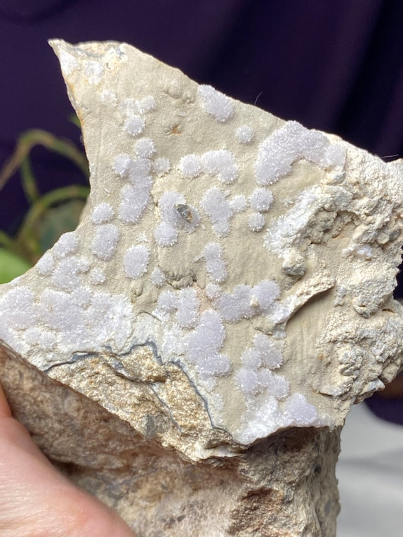 RARE Henderson Creek Colorado Creedite