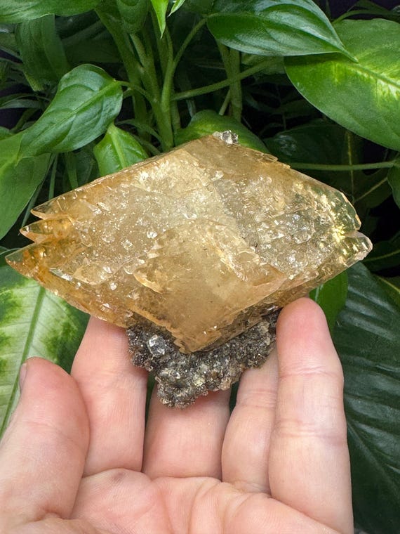 Double Terminated Calcite with Sphalerite ~Elmwood Mine~Smith County TN~Ledford’s Minerals