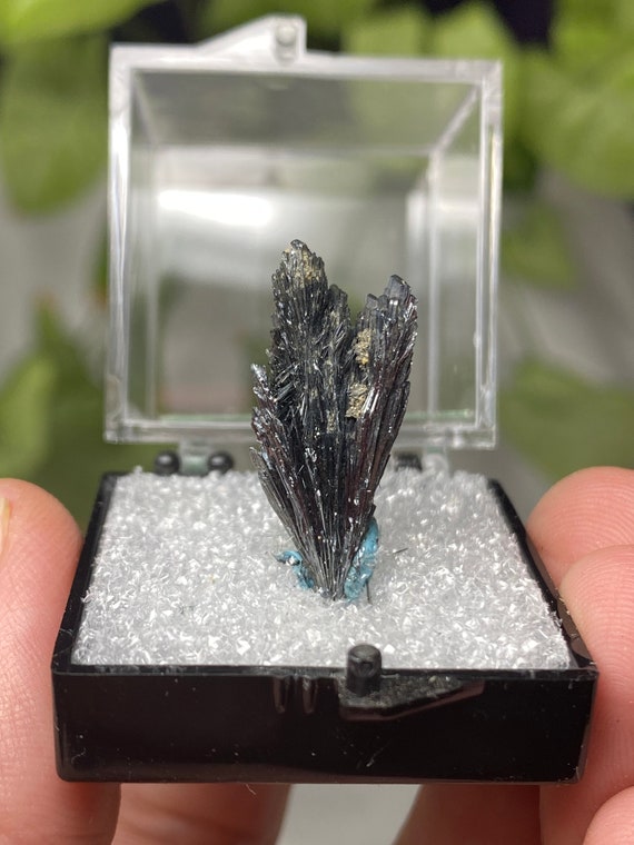 Lustrous Romania Stibnite Thumbnail