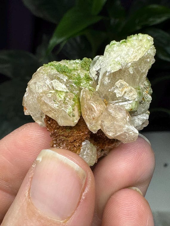 Cerrusite with Duftite~Tsumeb, Namibia~Ledford’s Minerals~Old finds