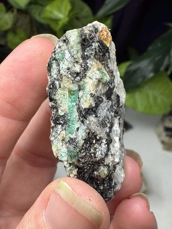 Emerald and Tourmaline in Quartz ~North Carolina Crabtree Emerald Mine~Ex Terry Ledford Collection~Ledford’s Minerals