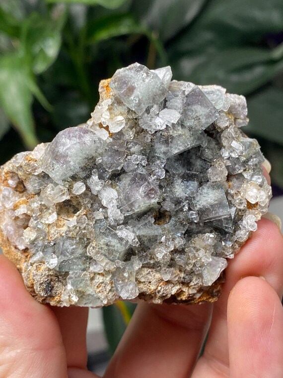 Purple/Green Diana Maria Fluorite with Quartz