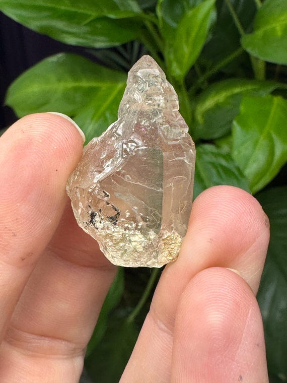 Quartz Scepter ~North American Emerald Mine~Hiddenite, North Carolina~Ex Terry Ledford~Crystalline Dream Minerals