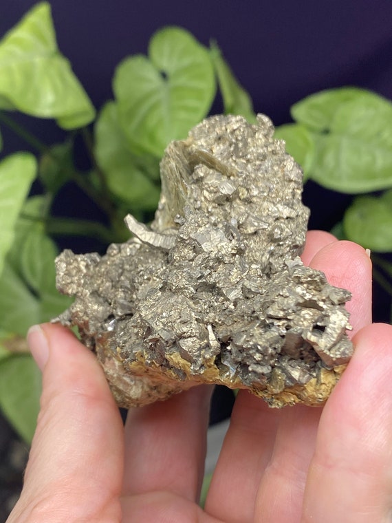 North Carolina Pyrite with Muscovite