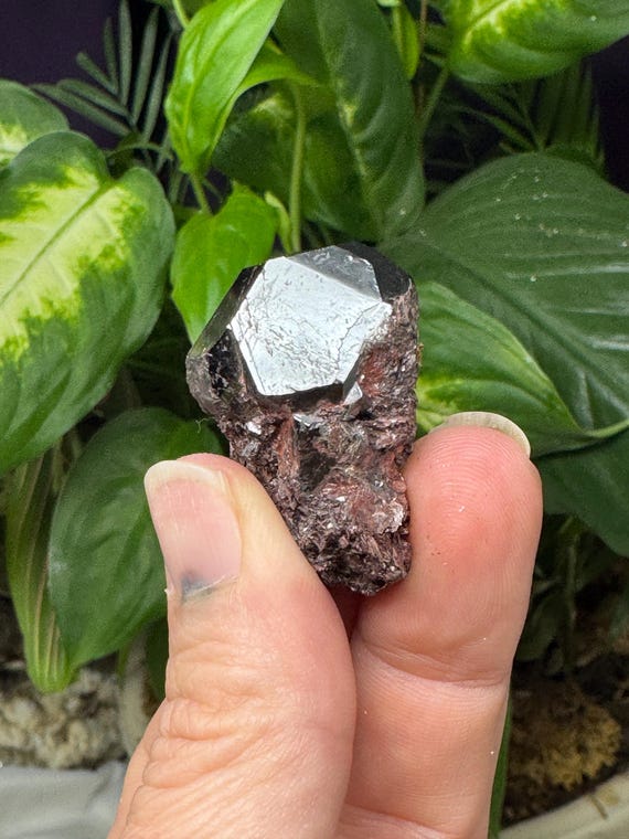 Rutile~Graves Mountain Mine~Lincoln County GA~Ex Terry Ledford Collection~Nature Made Goods~Ledford's Minerals