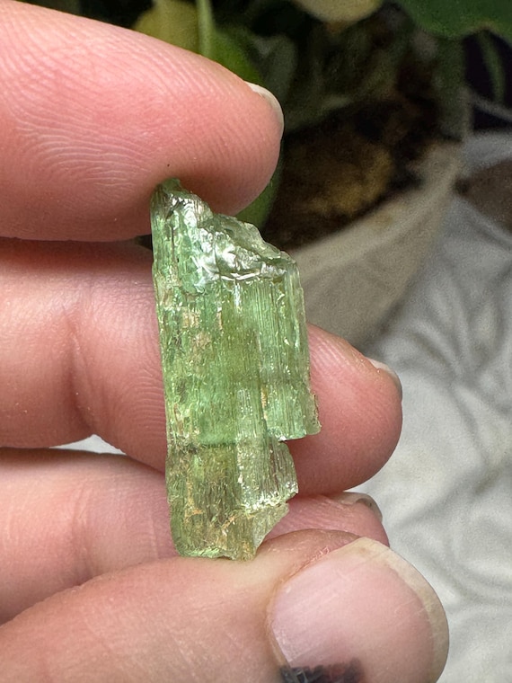 RARE Hiddenite Crystal~Hiddenite, North Carolina~Colleceted by Terry Ledford~CrsytallineDreamMin~Ledfords Minerals