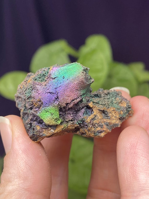 Colorful Graves Mountain Kyanite and Iridescent Hematite