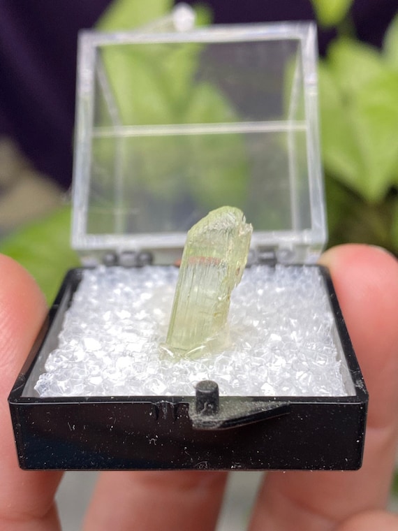 Rare Chromium Green North Carolina Hiddenite Spodumene Crystal Thumbnail~Ex Terry Ledford Collection~Nature Made Goods~Ledford's Minerals