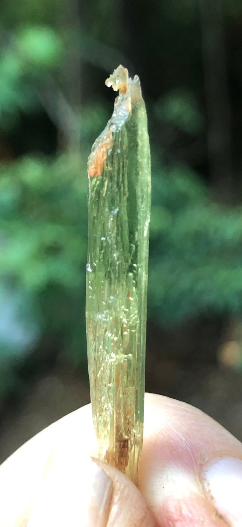 Rare Chromium Green North Carolina Hiddenite with Mud Inclusions image 2