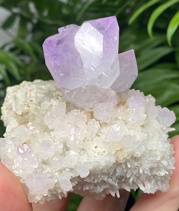 JXR Amethyst Cluster on Druzy