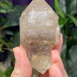 Hallelujah Junction Smoky Quartz Scepter