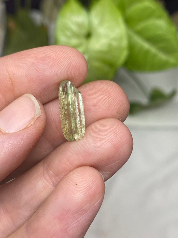 Rare Chromium Green North Carolina Hiddenite Crystal