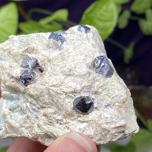 Puede incluir: Primer plano de una roca con varios cristales negros incrustados. La roca tiene una superficie blanca, brillante y texturizada.