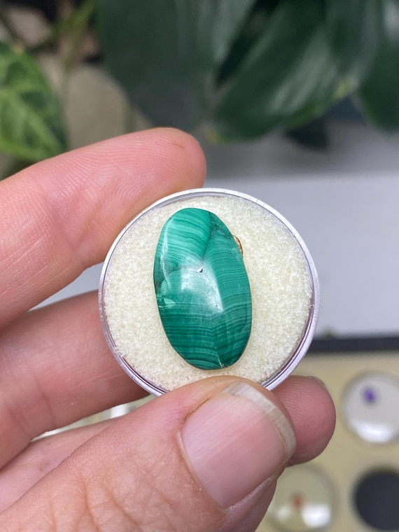 Beautiful Oval Malachite Cabachon  Stone~Nature Made Goods~Ledford's Minerals