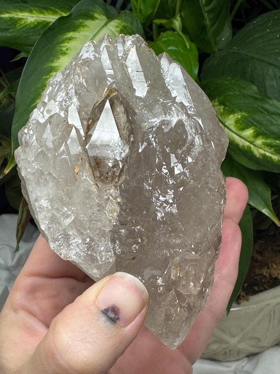 Large Elestial Smoky Quartz ~North American Emerald Mine~Coll by T. Ledford~Hiddenite NC~Nature Made Goids~Ledford’s Minerals