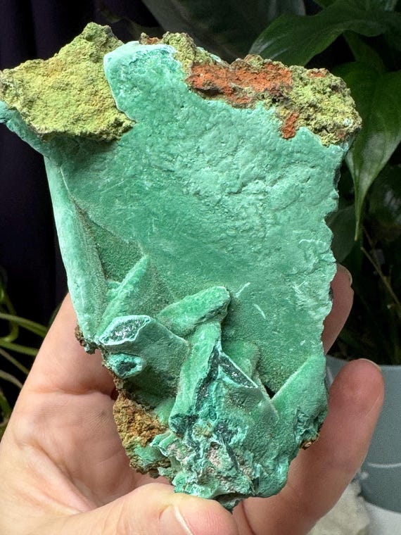 Malachite~Tsumeb, Namibia~Ledford’s Minerals~Old finds