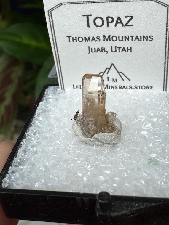 Topaz~Thomas Mountains Utah~Ledford’s Minerals