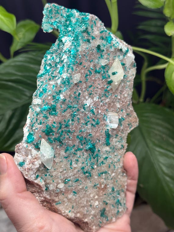 Rare Find~Dioptase and Calcite~Argentina