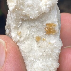 Root beer Apetite~Foote Mine~Kings Mountain~North Carolina~Ledford’s Minerals