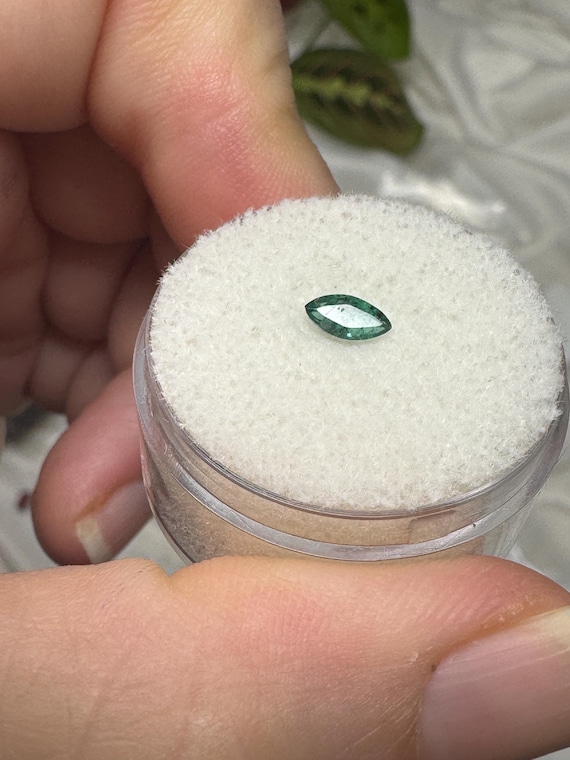 Emerald Gemstone ~North Carolina Crabtree Emerald Mine~Ex Terry Ledford Collection~Crystalline Dream Minerals-Ledford’s Minerals