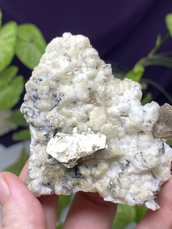 North Carolina Albite and Feldspar with Tourmaline and Mica~Ex Terry Ledford Collection~Nature Made Goods~Ledford's Minerals