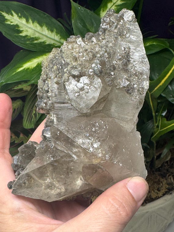 Quartz Cluster with Calcite and Pyrite Inclusions ~NAEM(North Carolina Emerald Mine)~Ex Terry Ledford~Ledford’s Minerals