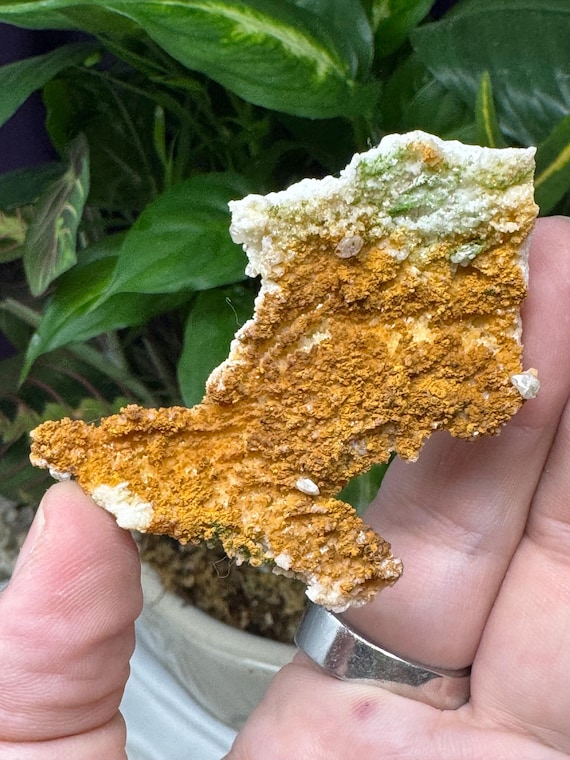 Cerrusite with Duftite~Tsumeb, Namibia~Ledford’s Minerals~Old finds
