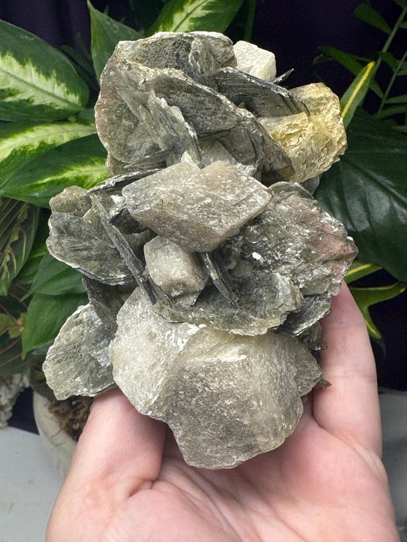 Calcite Cluster and Siderite with Mica ~NAEM(North Carolina Emerald Mine) Calcite with Mica~Ex Terry Ledford~Ledford’s Minerals